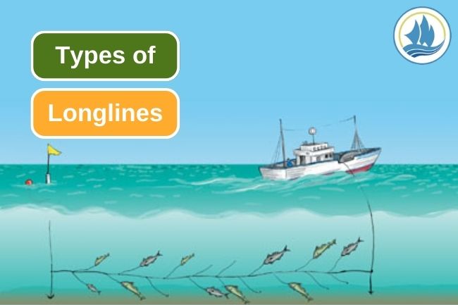 6 Types of Longlines in Fishing Activity